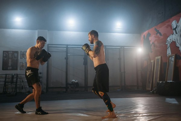 L'anatomie d'un coup de poing : science derrière le championnat de boxe